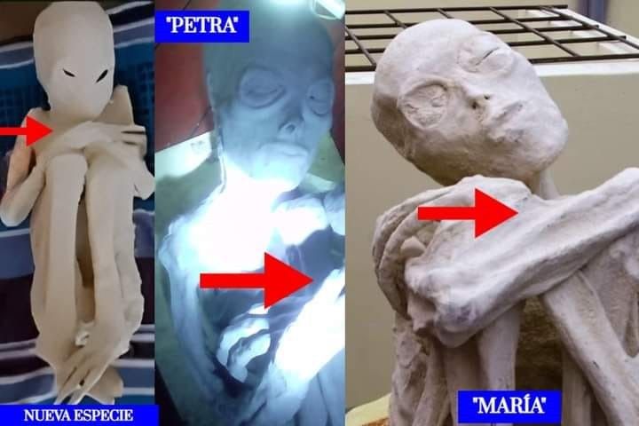 71d6d5bc 74a1 4529 b88b d69457e7fdfa