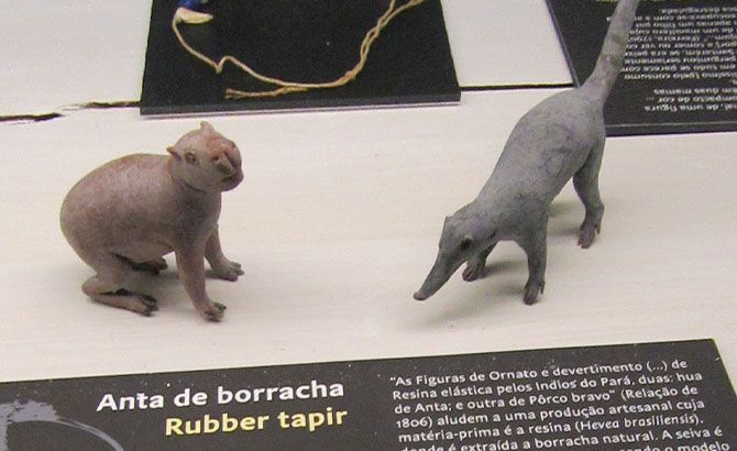 Un coatí y un capibara de los indios del Pará