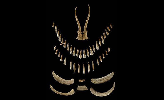 Abalorios hallados junto al cuerpo Abalorios hallados junto al cuerpo