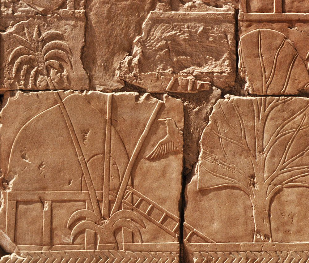 Bajorrelieve mostrando un poblado del país de Punt