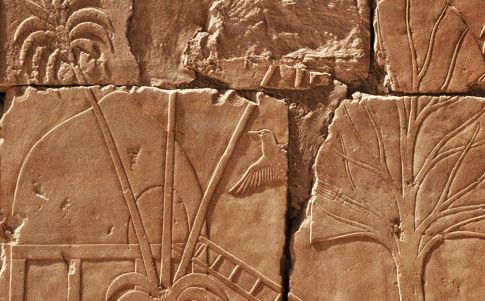 Bajorrelieve mostrando un poblado del país de Punt