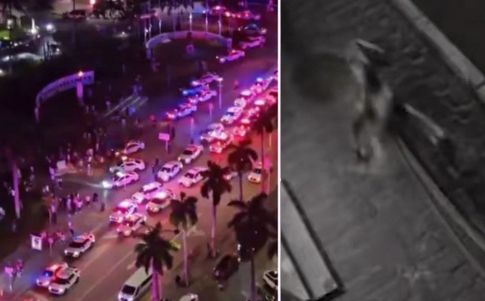 Una critatura misteriosa desencadenó el pánico en Miami, según los testigos