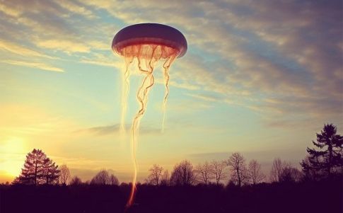 Recreación de una medusa voladora por IA