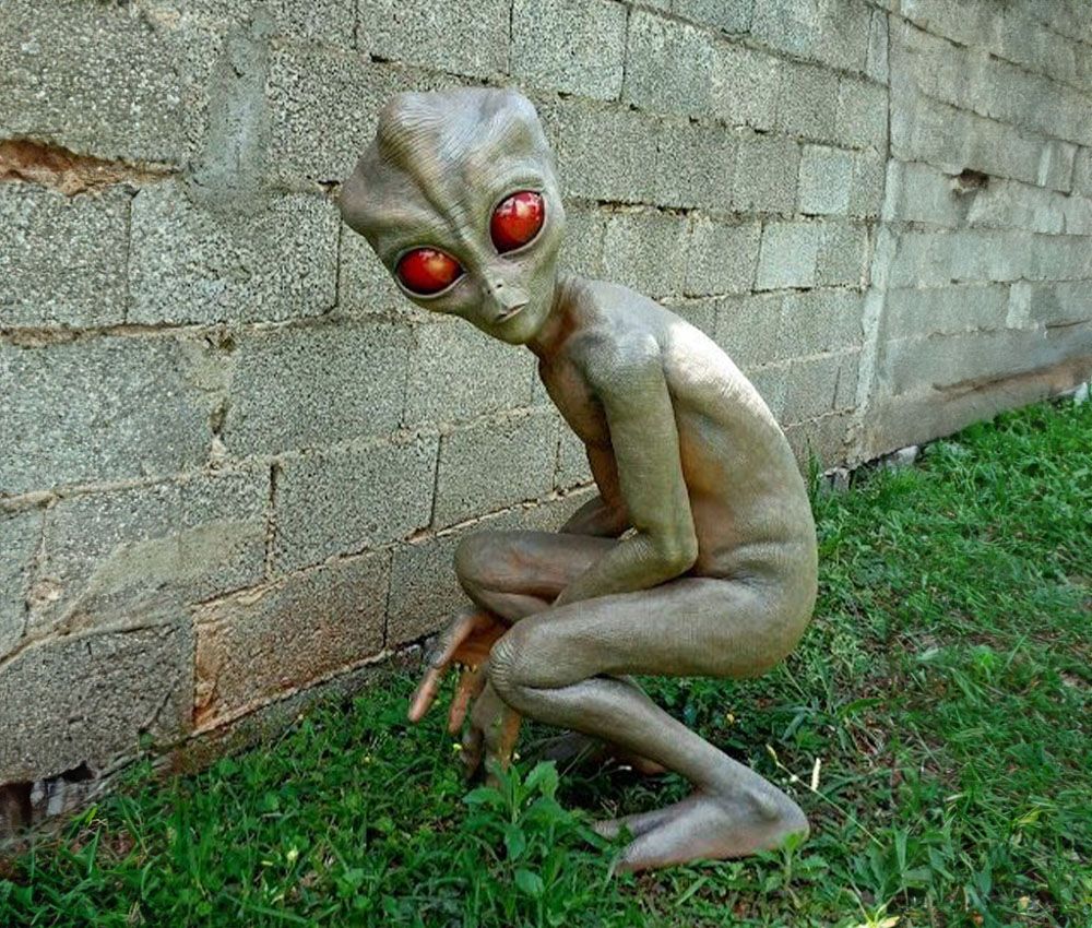 El supuesto ser avistado en Vargihna, Brasil