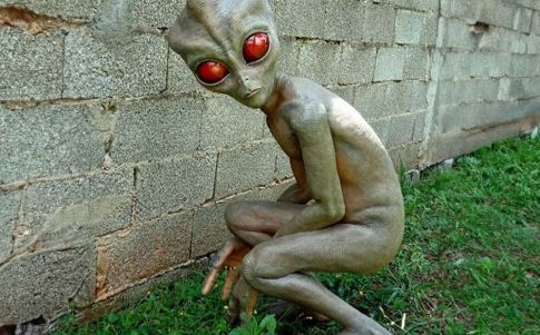 El supuesto ser avistado en Vargihna, Brasil