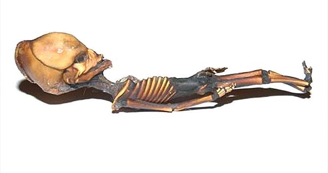 Ata, el ser hallado en Atacama en 2003 Ata, el ser hallado en Atacama en 2003