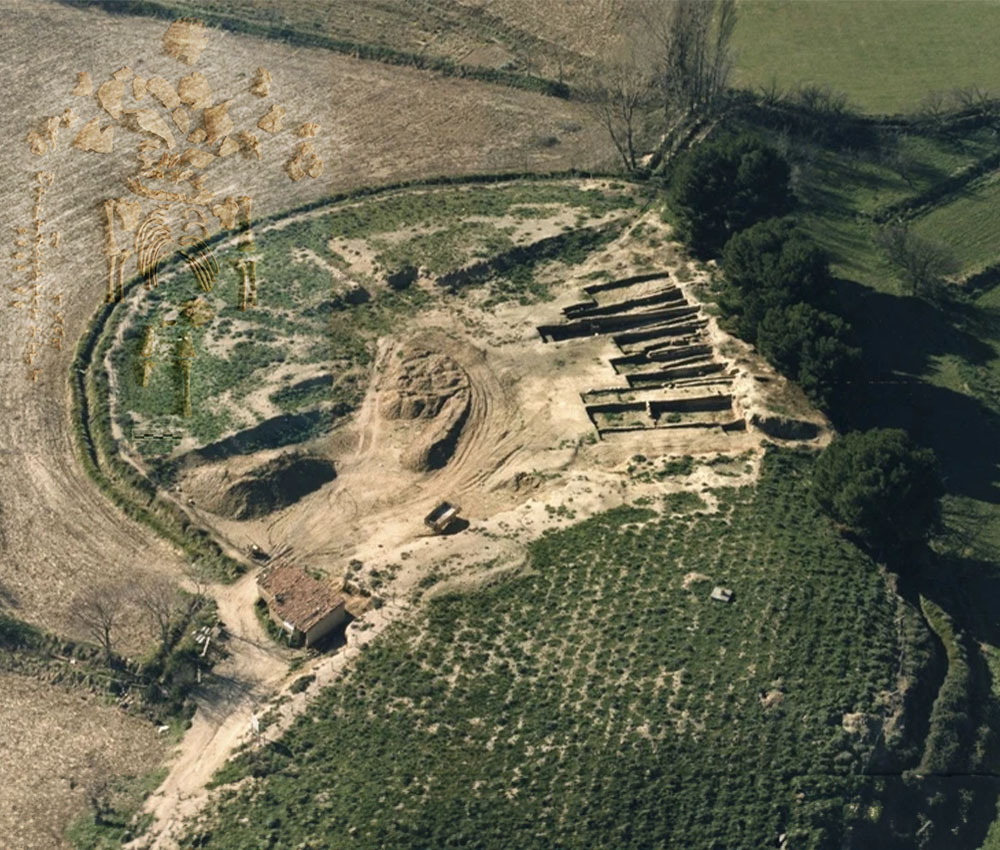 Yacimiento de Alto Cruz, en Navarra Yacimiento de Alto Cruz, en Navarra