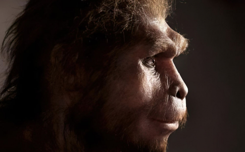 Recreación de un Homo erectus, que desarrolló el primer lenguaje rudimentario hace 1,6 millones de años