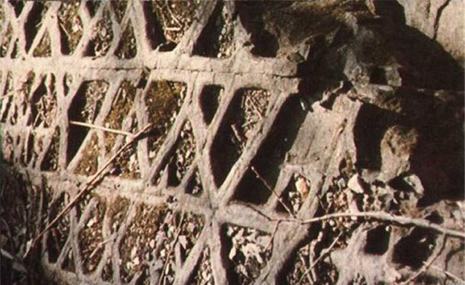 El inusual patrón de la roca Waflle