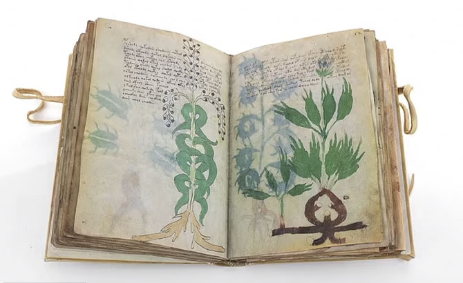 El manuscrito Voynich El manuscrito Voynich