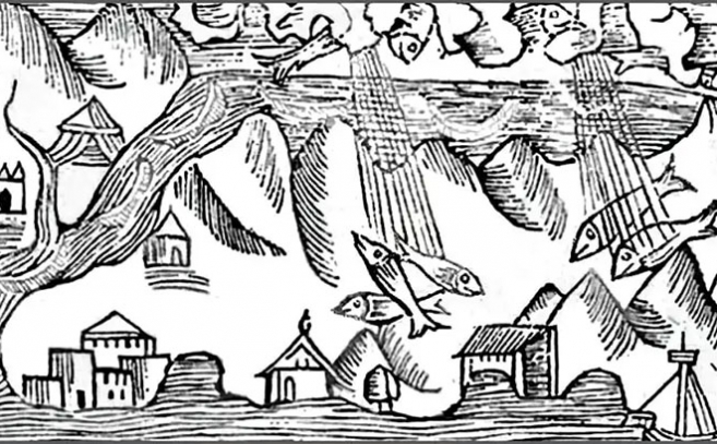 Pluie de poissons, Olaus Magnus (1555)