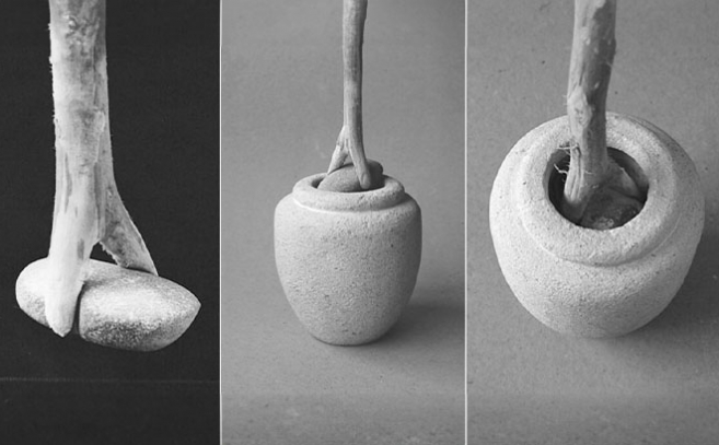 Con estas herramientas se supone que realizaban el vaciado de los recipientes Con estas herramientas se supone que realizaban el vaciado de los recipientes