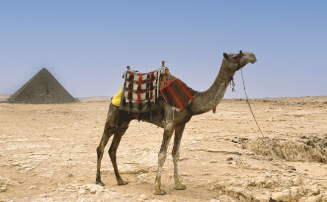 Aún es visible la brecha que la pólvora de Vyse dejó en la pirámide de Micerinos Aún es visible la brecha que la pólvora de Vyse dejó en la pirámide de Micerinos