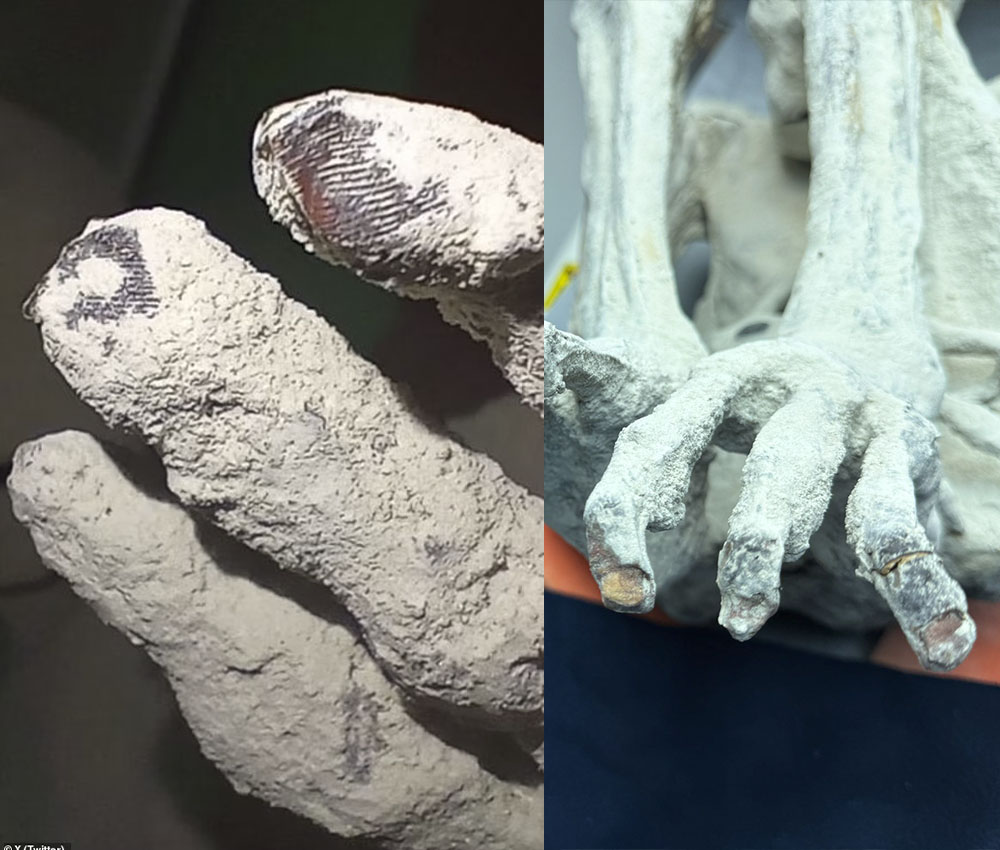 Reptiles con huellas dactilares