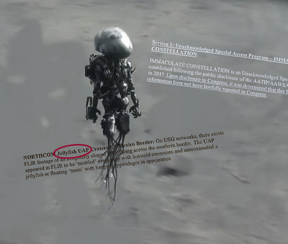 Presentan un documento de 12 páginas del programa Immaculate Constellation Presentan un documento de 12 páginas del programa Immaculate Constellation