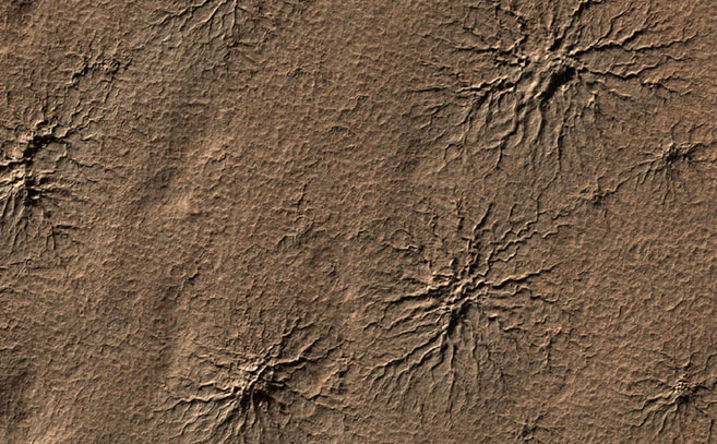 Una imagen más cercana de las arañas marcianas Una imagen más cercana de las arañas marcianas