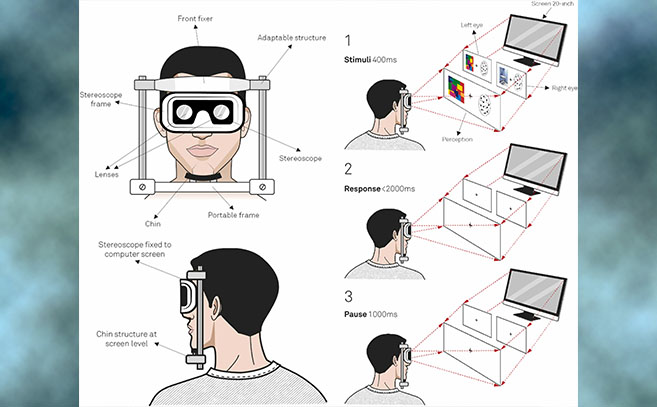 Secuencia de pasos para cada prueba experimental