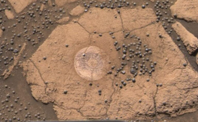 Los arándanos marcianos Los arándanos marcianos