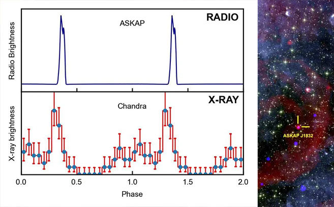 Curvas de luz de radio y rayos X que demuestran que ASKAP J1832 0911 pulsa en ambas bandas Curvas de luz de radio y rayos X que demuestran que ASKAP J1832 0911 pulsa en ambas bandas