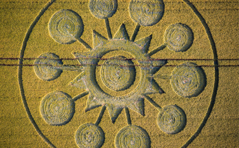 El intrigante círculo de las cosechas de Falkner