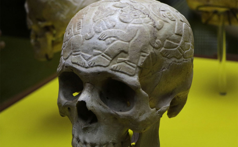 Cráneo prehispánico esgrafiado