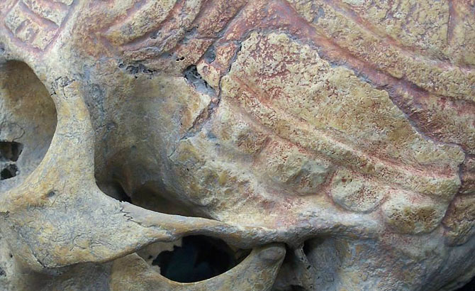 Detalle de la decoración del cráneo