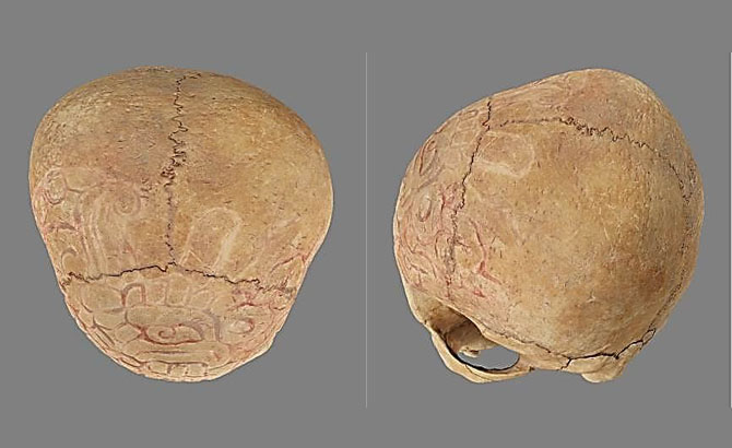 Vista superior y del parietal izquierdo de uno de los cráneos