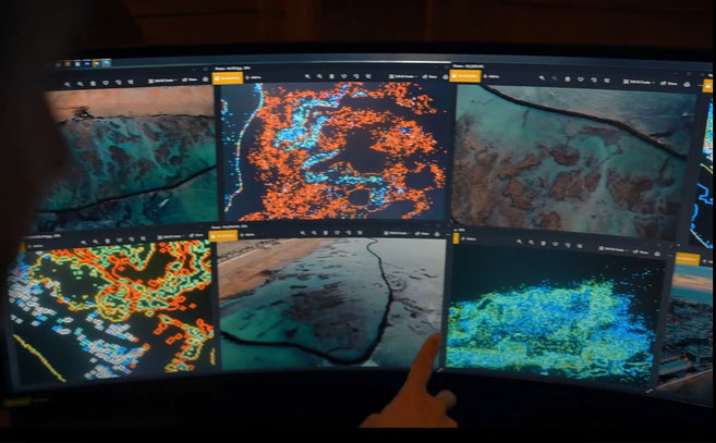 Donnellan muestra algunos escaneos en la costa de Cádiz