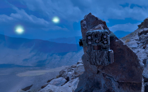 Cámaras de monitorización biológica captan algo raro en Chile