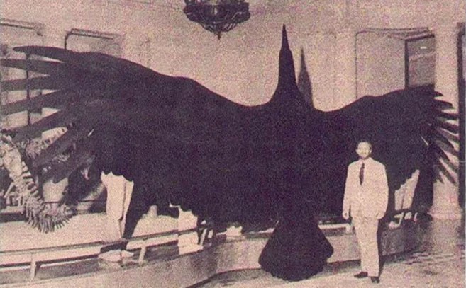 Una imagen del Thunderbird