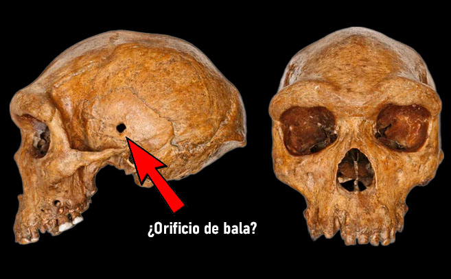 Cráneo de Broken Hill o el hombre de Rhodesia