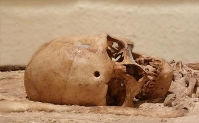 El cráneo 4 de la Cueva del Toll