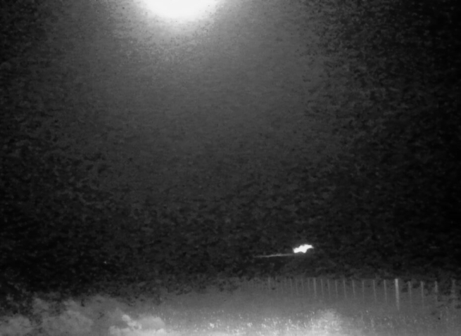 Tercer disparo del dispositivo de la UMAG