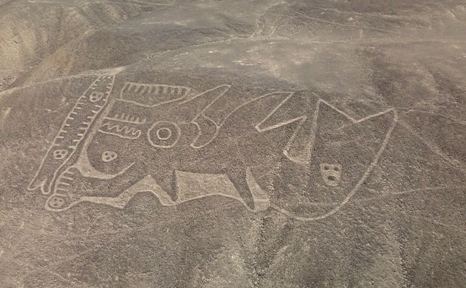 El dibujo de una orca antropomorfizada en Palpa