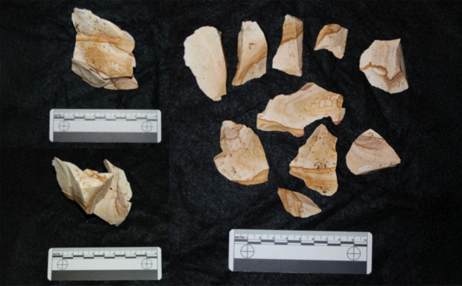 Artefactos del Topper Site, en Carolina del Sur Artefactos del Topper Site, en Carolina del Sur