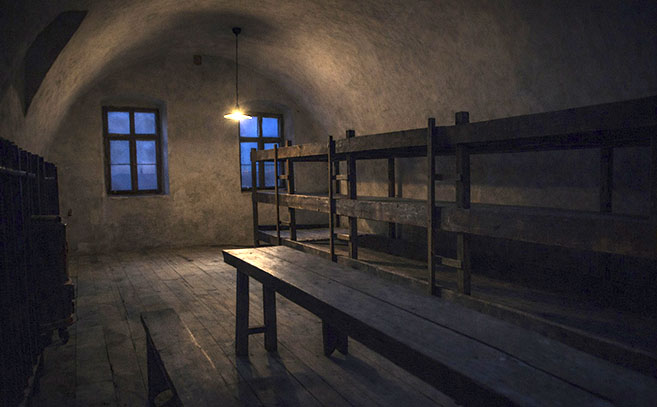 Imagen de la celda donde experimentaron