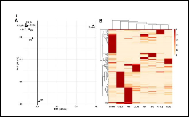 Análisis de componentes principales y (B) agrupamiento jerárquico basado en datos metagenómicos BLASTn de las 7 muestras de control Análisis de componentes principales y (B) agrupamiento jerárquico basado en datos metagenómicos BLASTn de las 7 muestras de control