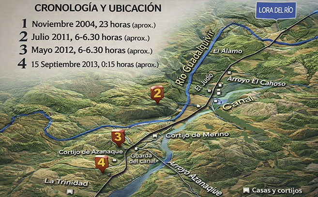 Por la trayectoria y ubicaciones Manuel relacionó los encuentros con una una lechuza real