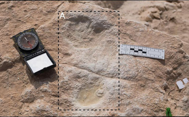 Pisadas halladas en Arabia Saudita (Foto Stewart)