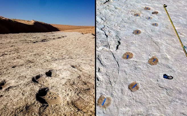 Huellas de elefantes y camellos encontradas en el yacimiento de Alathar