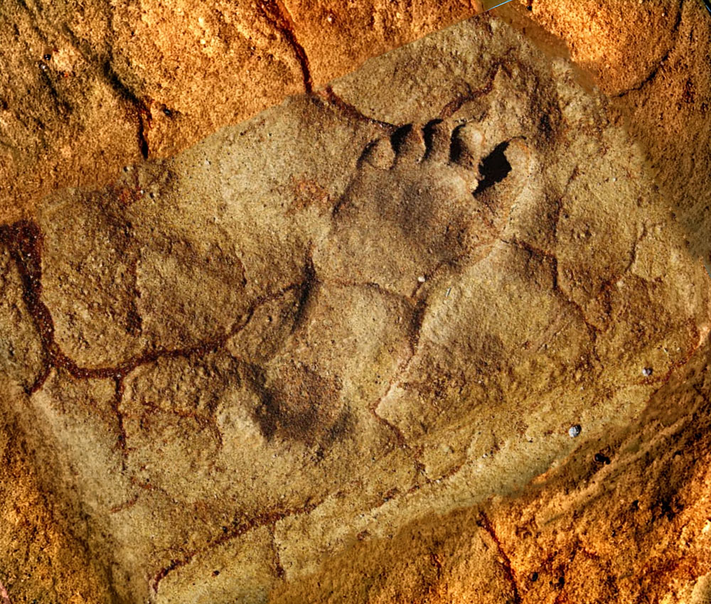 Unas huellas revelan la presencia más antigua de Homo sapiens en la Península Arábiga