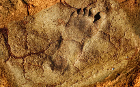 Unas huellas revelan la presencia más antigua de Homo sapiens en la Península Arábiga