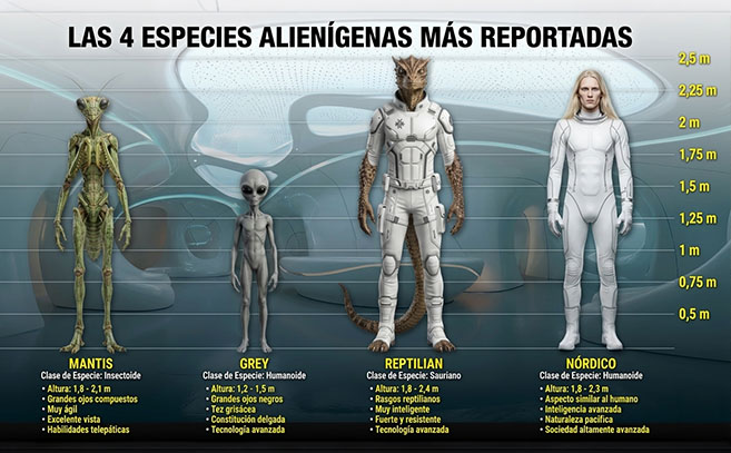 Las cuatro especies extraterrestres más reportadas