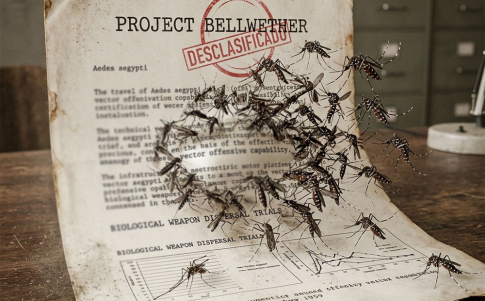 Mosquitos como armas biológicas