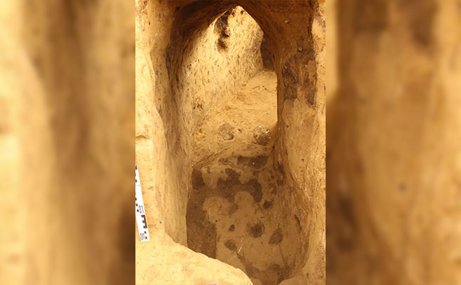 El Reinstedt hallado, foto de la Oficina Estatal de Gestión del Patrimonio y Arqueología de Sajonia Anhalt El Reinstedt hallado, foto de la Oficina Estatal de Gestión del Patrimonio y Arqueología de Sajonia Anhalt