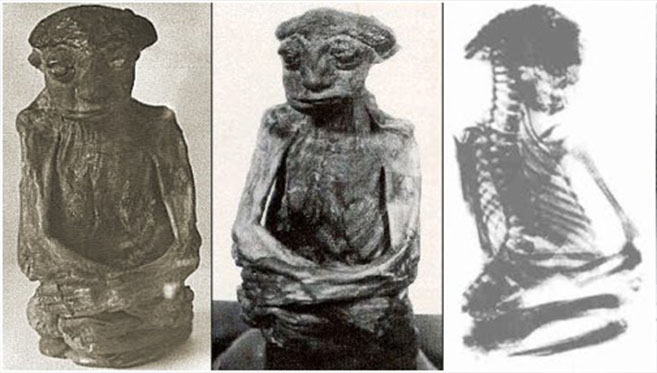 Tres imágenes de Pedro, una curiosa momia hallada en Wyoming en 1930 Tres imágenes de Pedro, una curiosa momia hallada en Wyoming en 1930