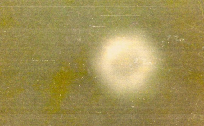 ovni picaron humo 768x555 ovni picaron humo 768x555