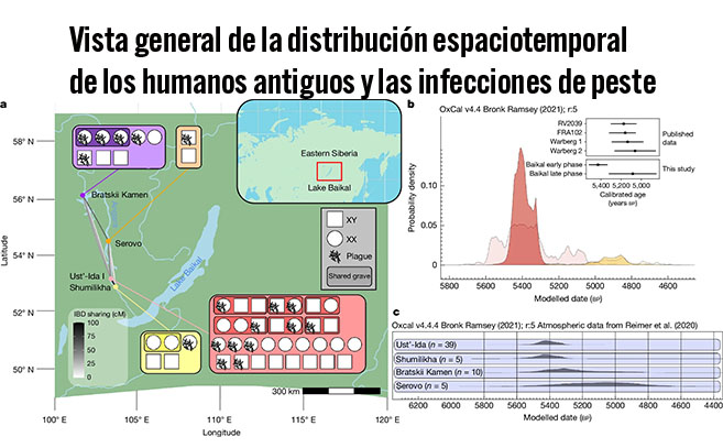 Vista general de la distribución espaciotemporal de los humanos antiguos y las infecciones de peste