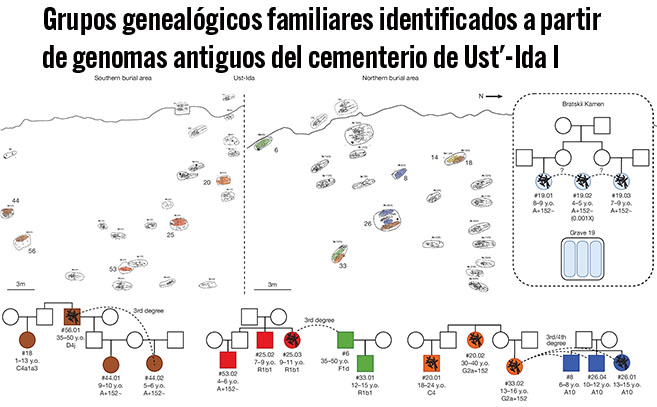 Grupos genealógicos familiares identificados a partir de genomas antiguos y plano del cementerio de Ust' Ida I