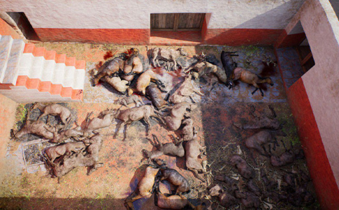 Sacrifico ritual de caballos en Casas de Turuñuelo Sacrifico ritual de caballos en Casas de Turuñuelo